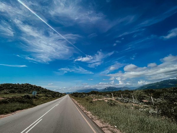 Assurance Tesla : un acte qui soutient l'écologie